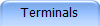 Terminals